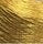 Metallic Gold