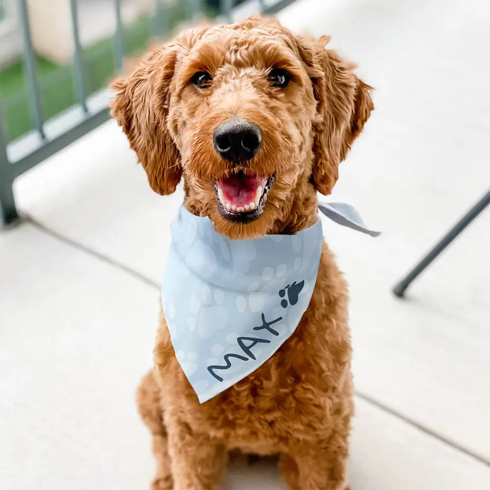 Custom Dog Bandana